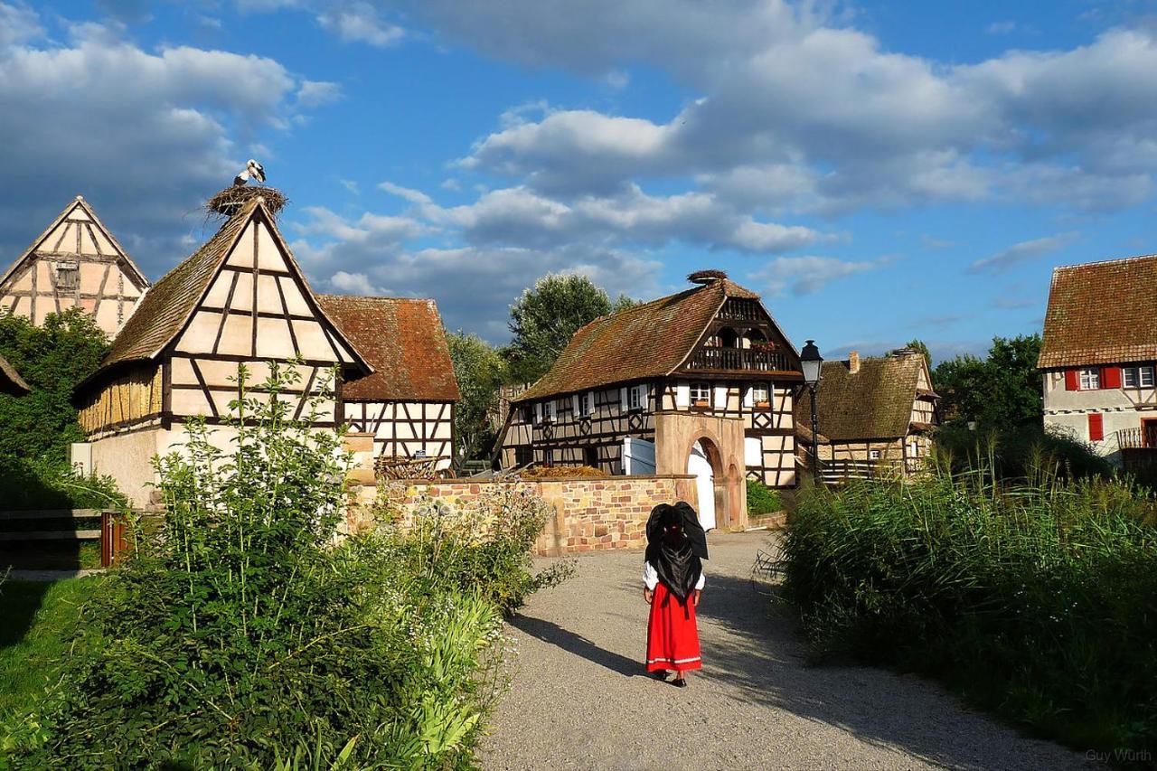 Chez Christian Apartamento Breitenbach-Haut-Rhin Exterior foto